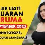 Wajib Liat! Keluaran Daruma 17 September 2025 Konohatoto78, Auto Cuan Maksimal! - keluaranterbaru.com